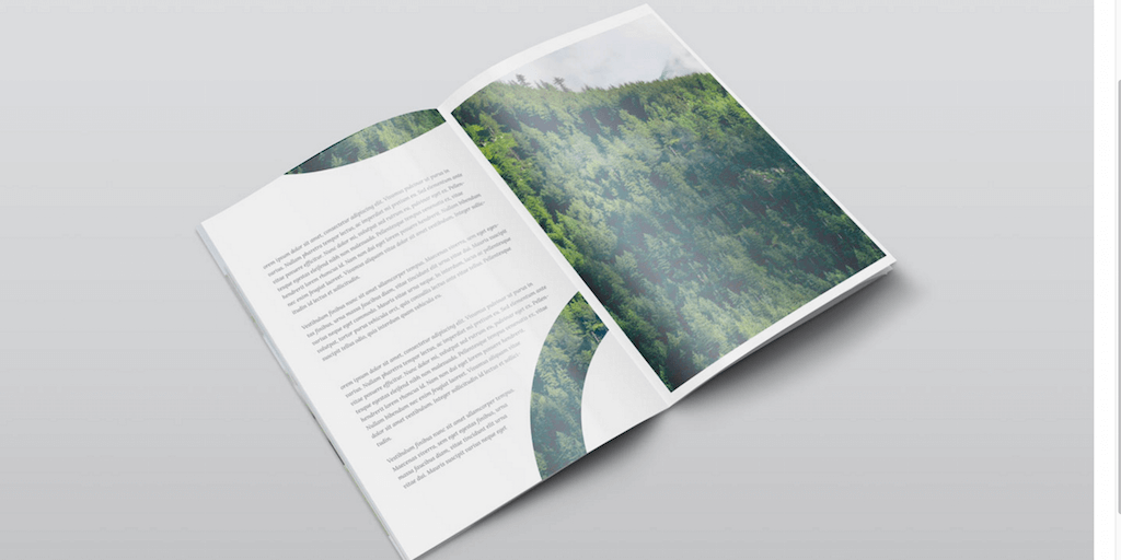 Offset printed corporate brochure